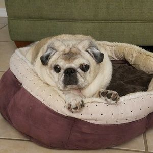 Meet your Posher, Carol